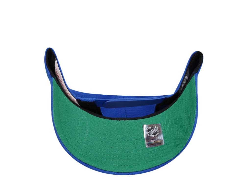 Mitchell & Ness New York Islanders Team Ground 2.0 Pro Snapback Cap