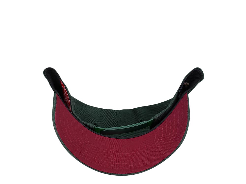 American Needle Arizona Coyotes Inaugural Season 1996/97 Green Snapback Hat
