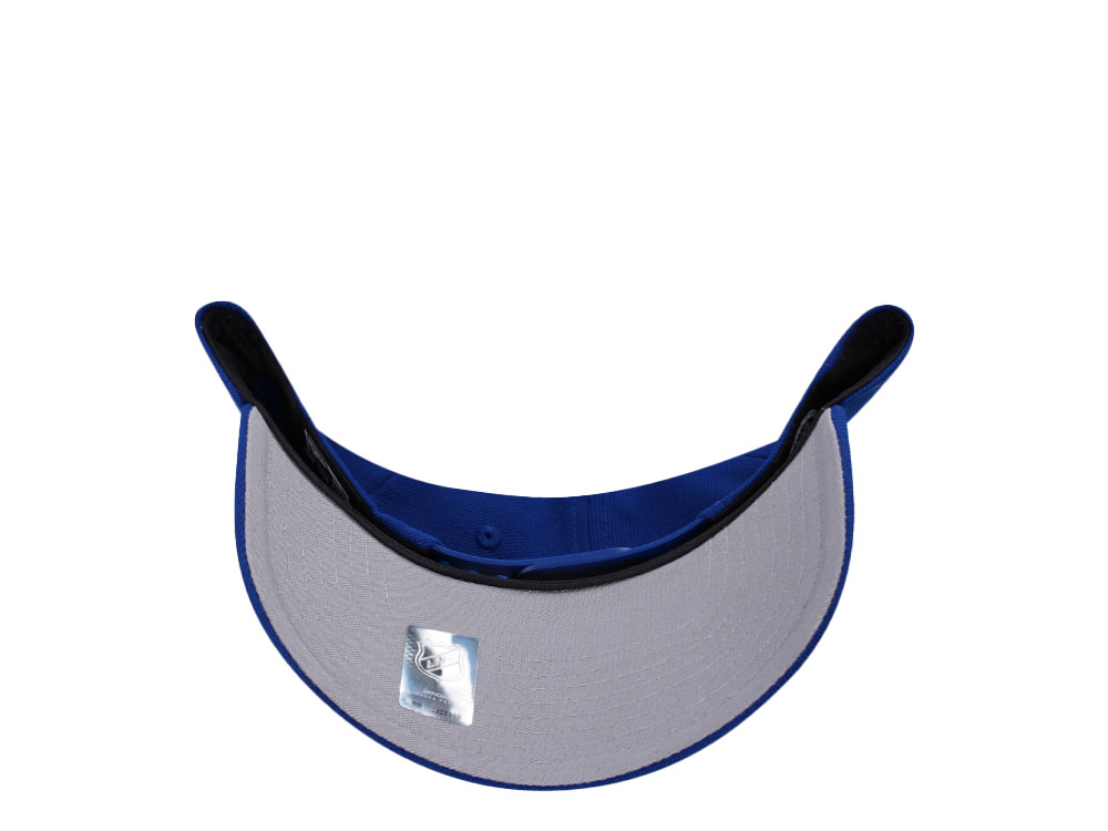 New Era St. Louis Blues Blue Classic 9Forty A Frame Snapback Hat