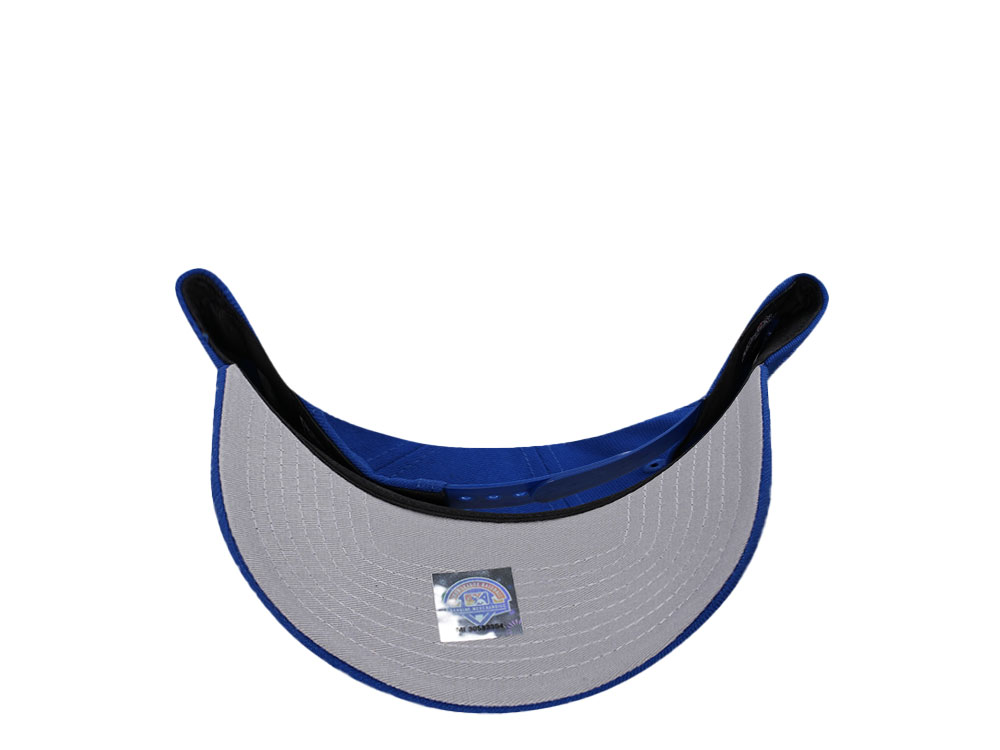 New Era Tennessee Smokies Blue Metallic A Frame Snapback Hat